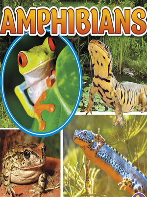 cover image of Amphibians